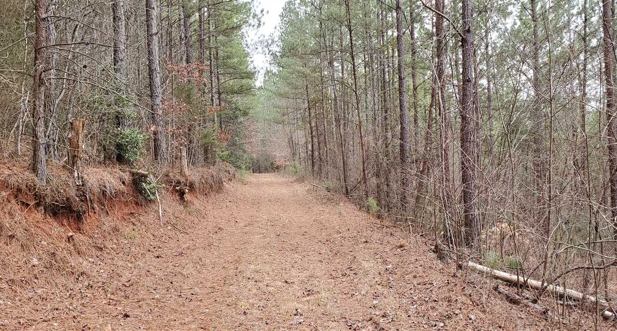 Residential and   property for sale on The Land Market