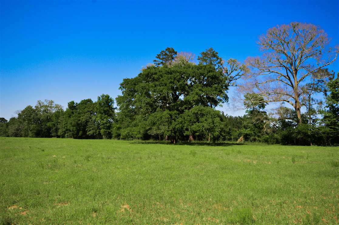 Land for sale to buy in  zip code
