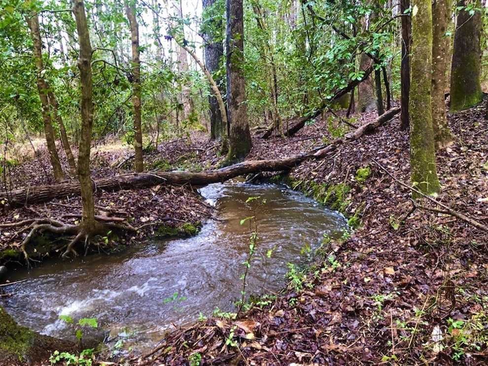 Land for sale to buy in 27332 zip code