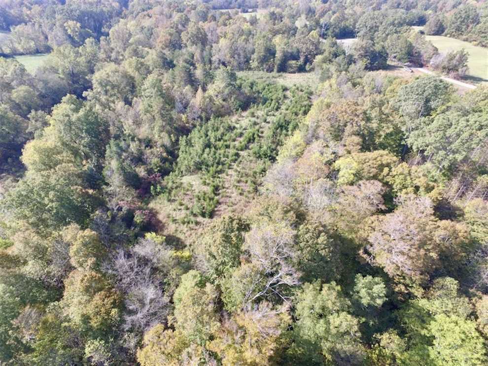 30.79 Acres of Recreational land for sale in Meherrin, lunenburg County, Virginia