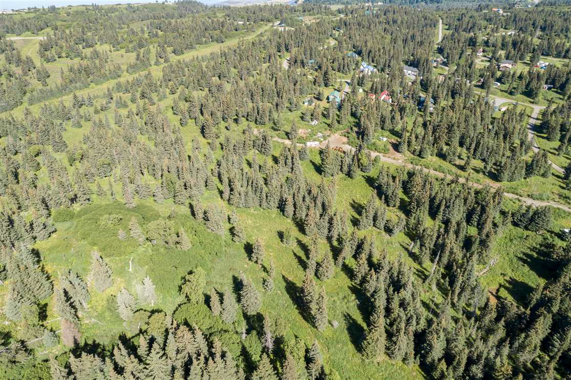 kenai peninsula County, Alaska property for sale