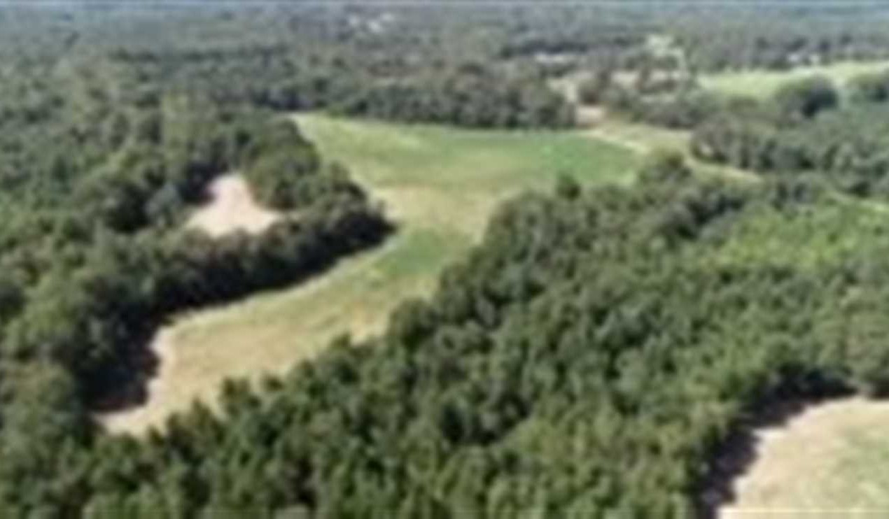Nettleton land available for purchase