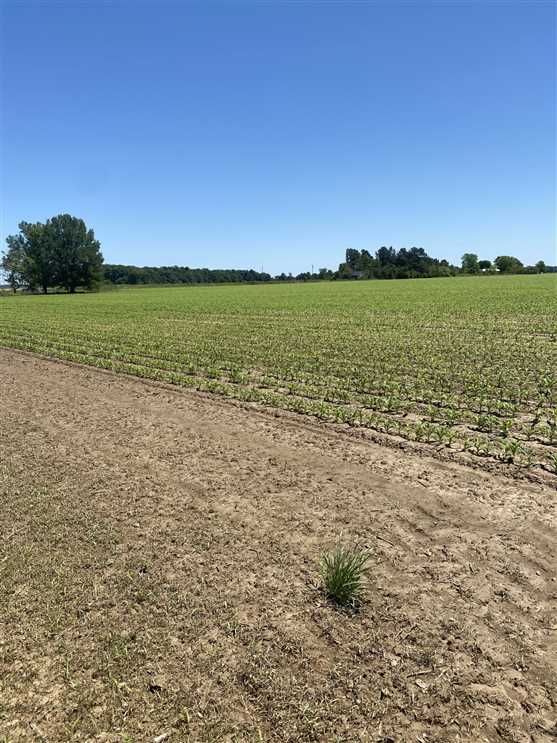 Property for sale at