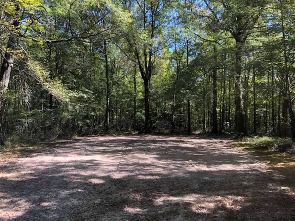 147+/- Acres with camp on Hwy 25 in Leake Co. Real estate listing