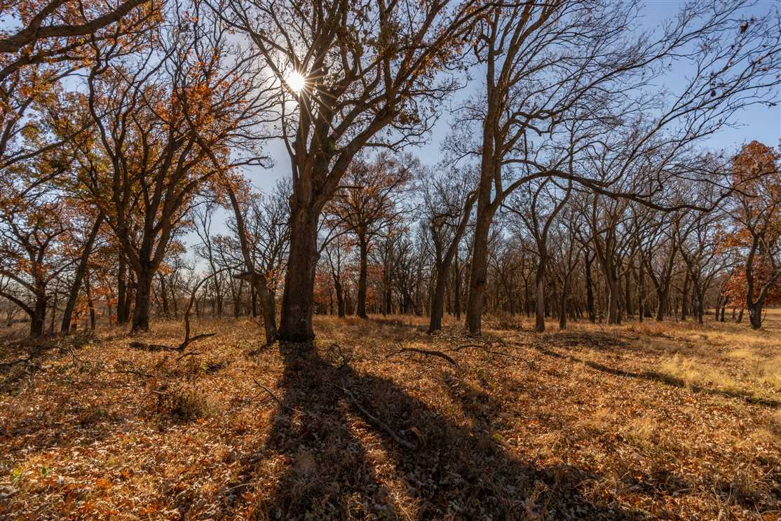 Recreational and   property for sale on The Land Market