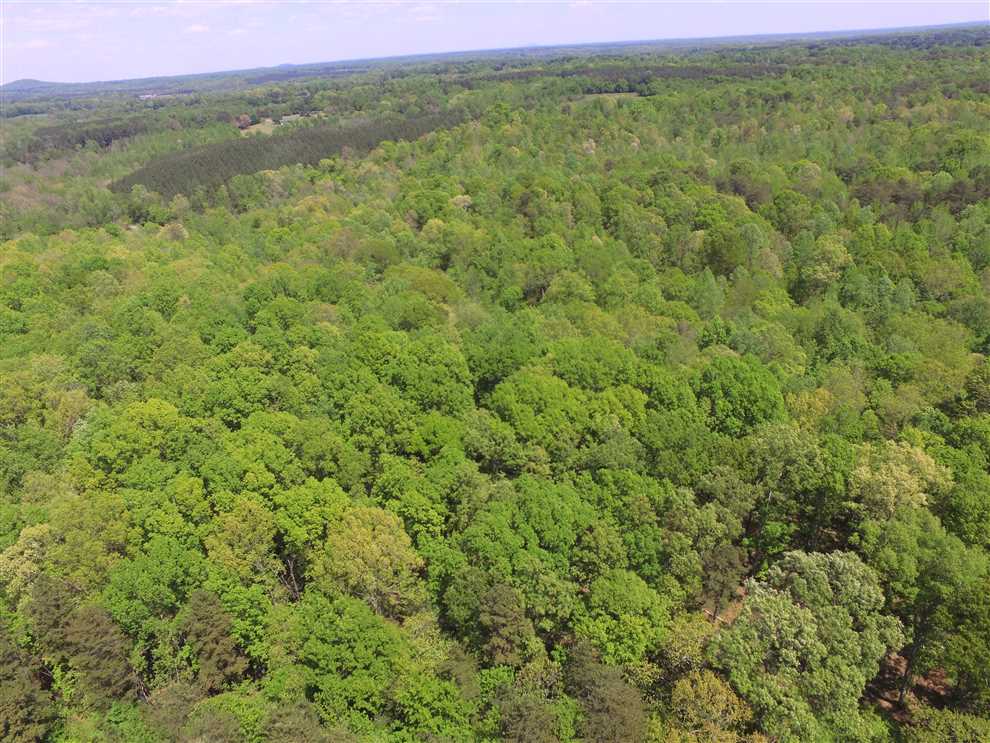 Residential and   property for sale on The Land Market