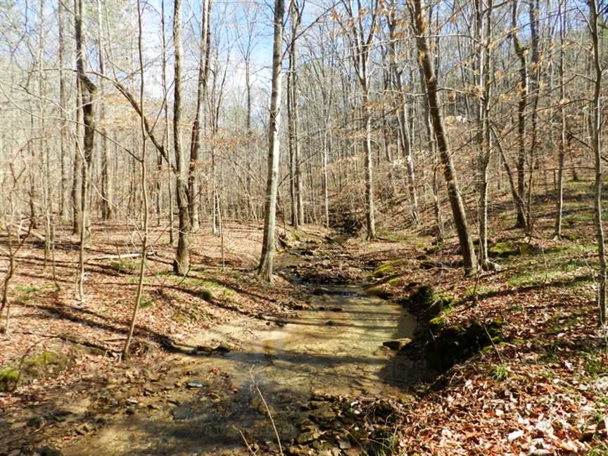 34 Acres of Recreational land for sale in Double Springs, winston County, Alabama