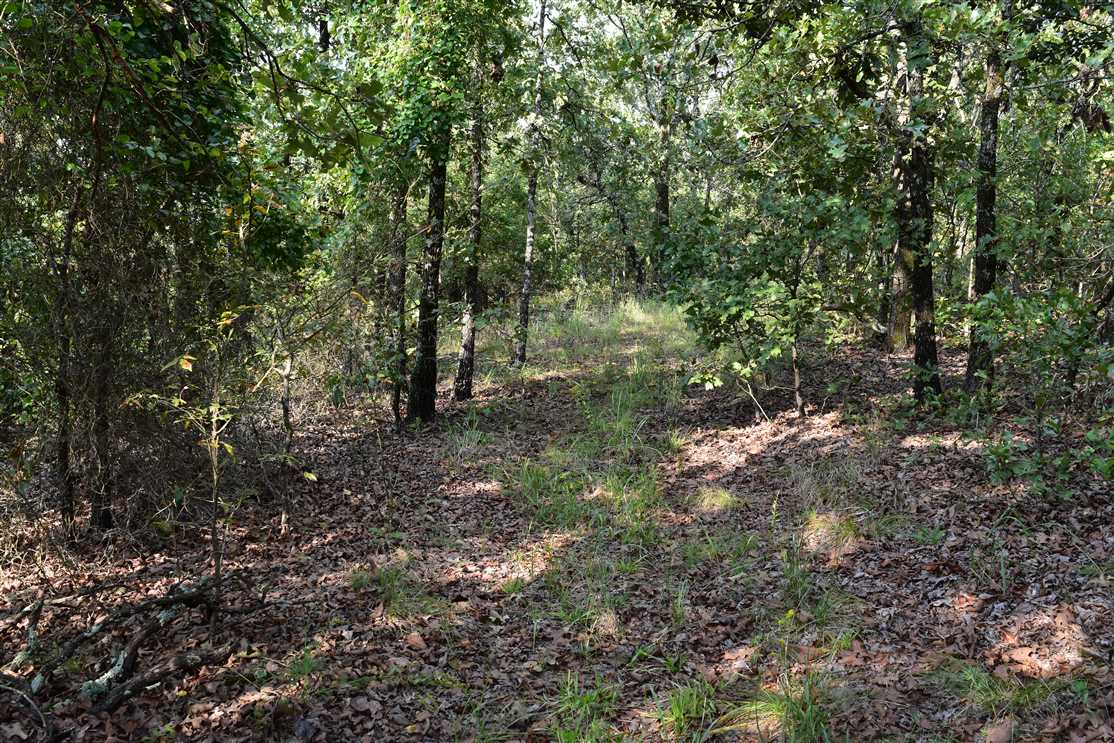 Land for sale at