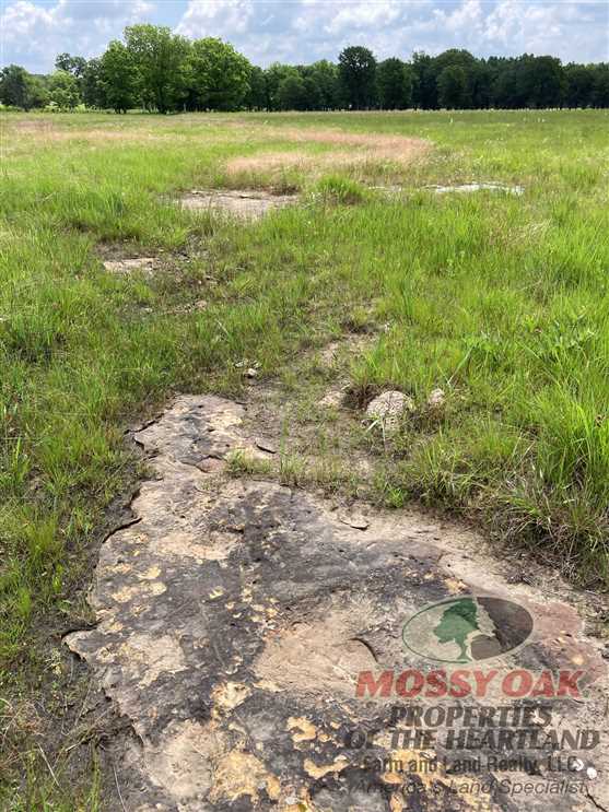Land for sale at 00000 Alfalfa