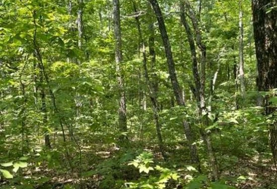 5.81 Acres of Land for Sale in grundy County Tennessee