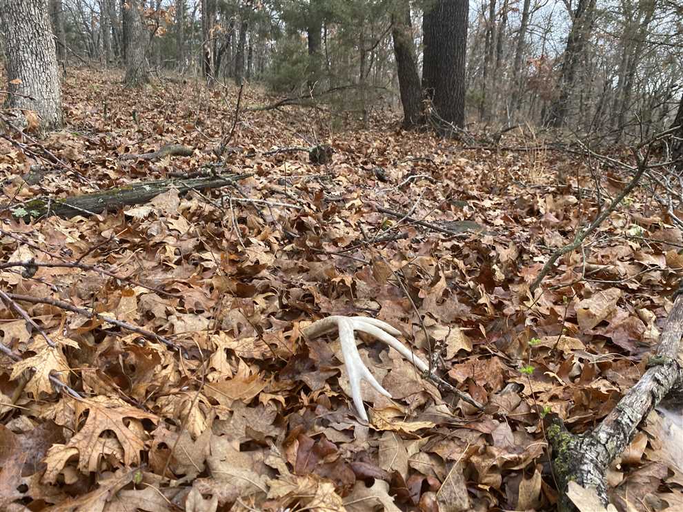 293 Acres of Land for sale in montgomery County, Kansas
