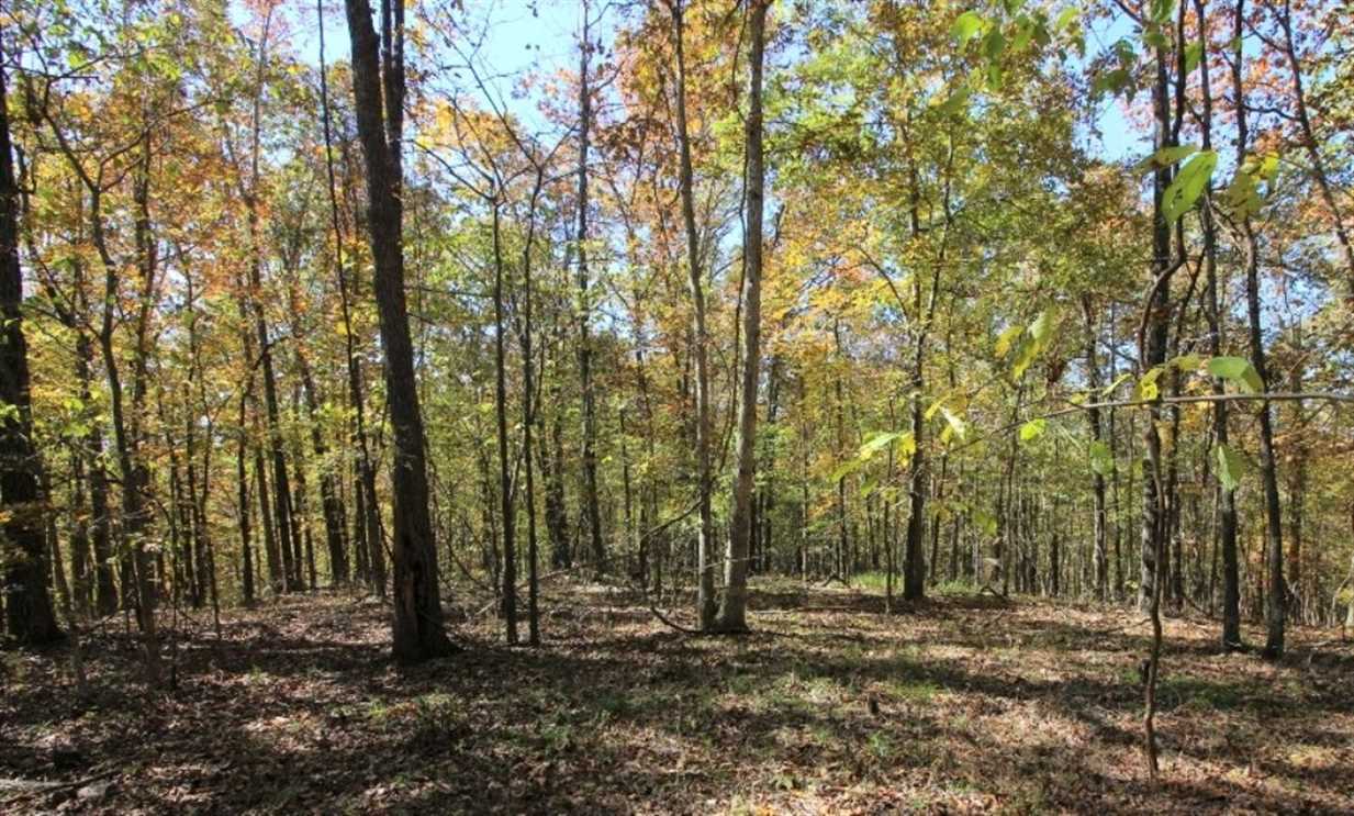 36 Acres of Land for sale in butler County, Missouri