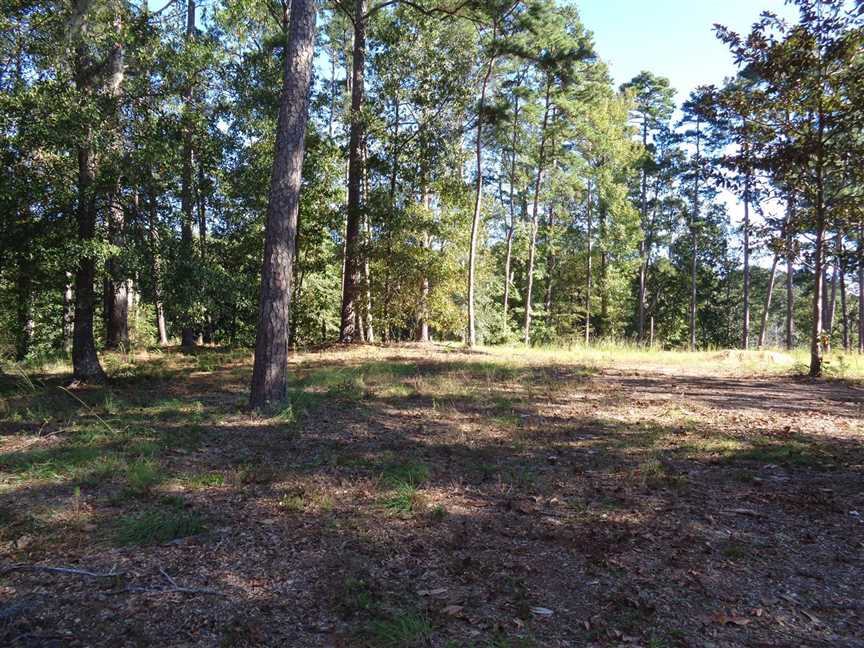 0.51 Acres of Development land for sale in Eufaula, barbour County, Alabama
