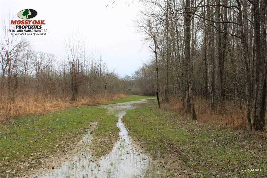 Recreational and   property for sale on The Land Market