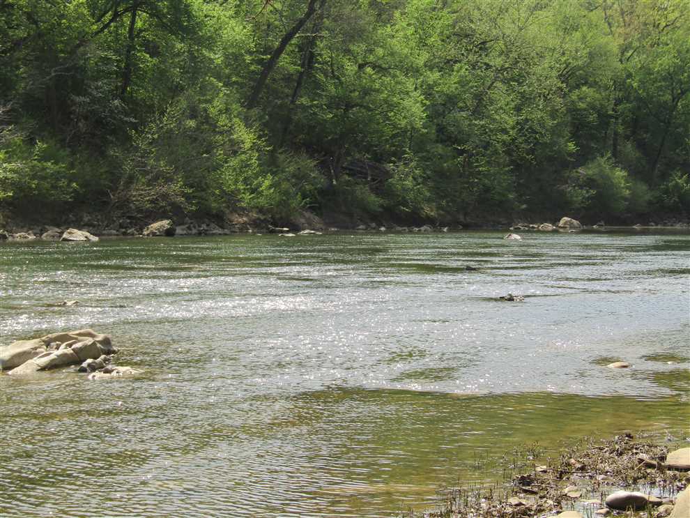 PRIME Mountain Fork River Frontage Property McCurtain County, OK 5 AC Real estate listing