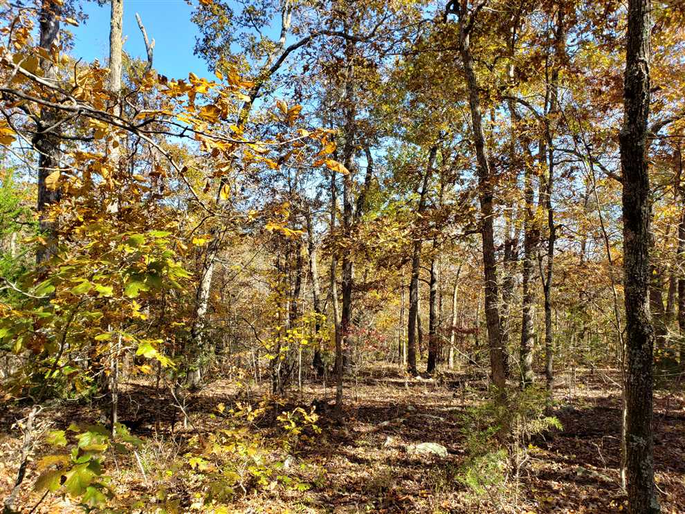 Land for sale to buy in 72685 zip code