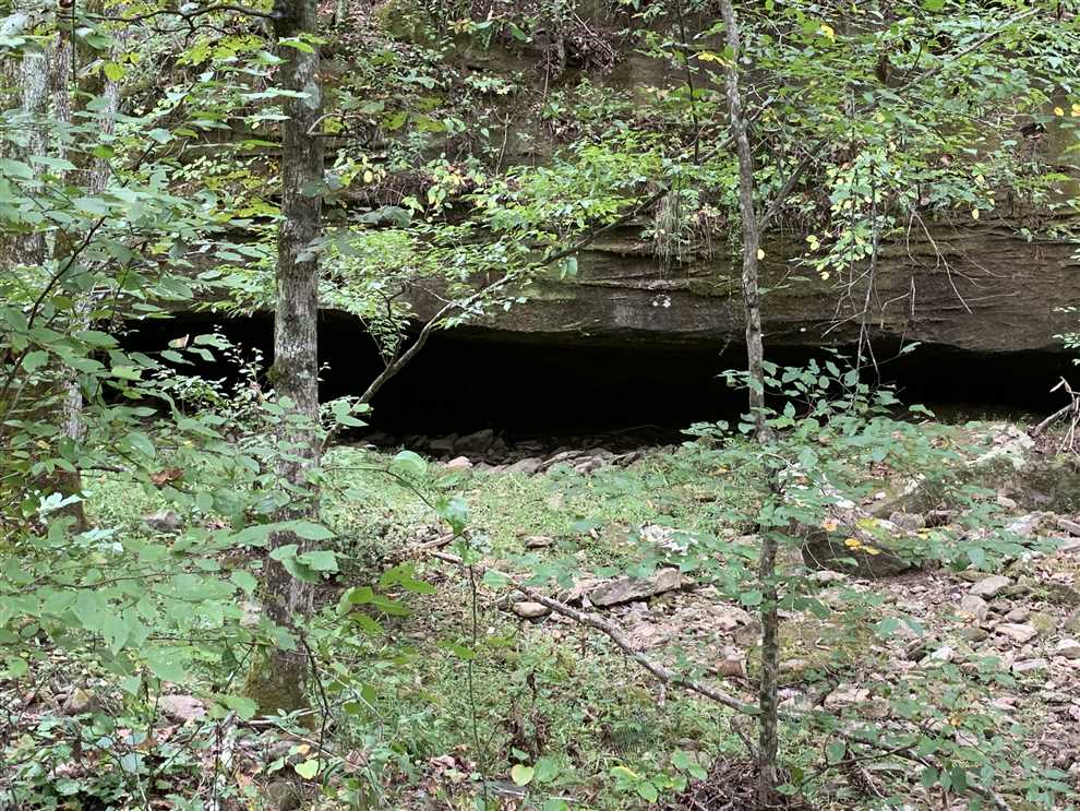 Property for sale at