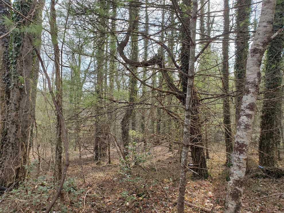 wilkes County, North Carolina property for sale