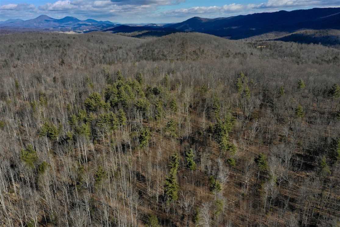 341 Acres of Managed Hunting Land For Sale in Rockbridge County VA! Real estate listing