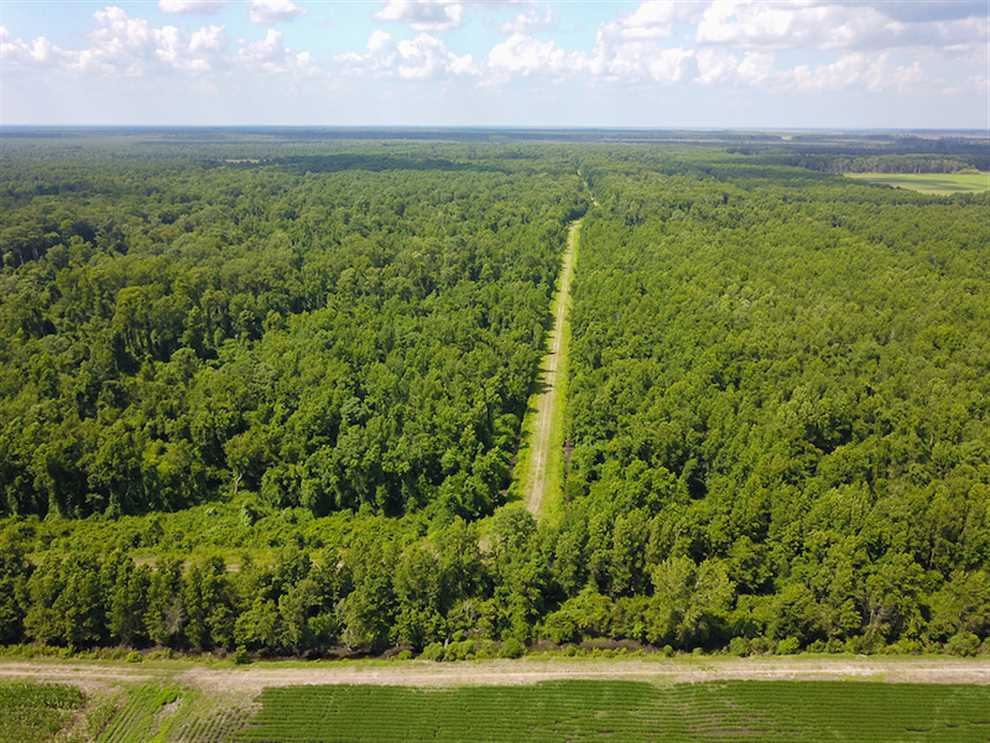 Recreational and   property for sale on The Land Market
