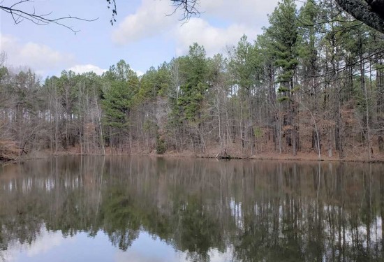 55.6 Acres of Land for Sale in york County South Carolina