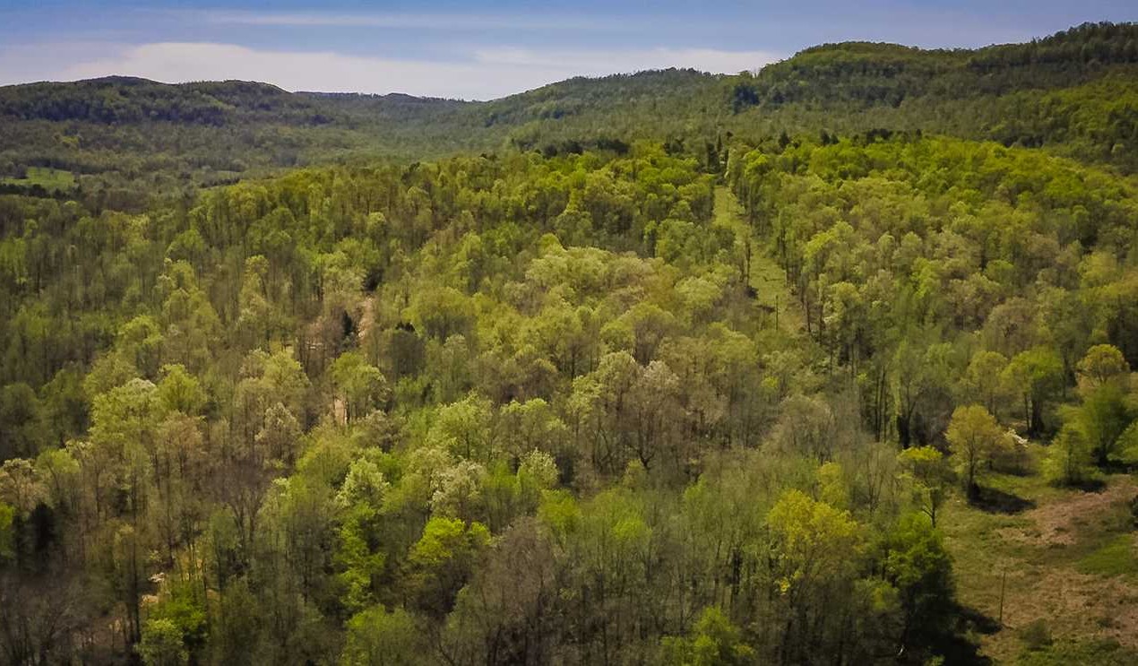 Recreational land real estate to buy in newton County AR
