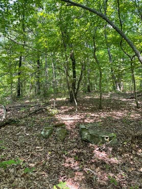 5.04 Acres of Residential land for sale in Altamont, grundy County, Tennessee