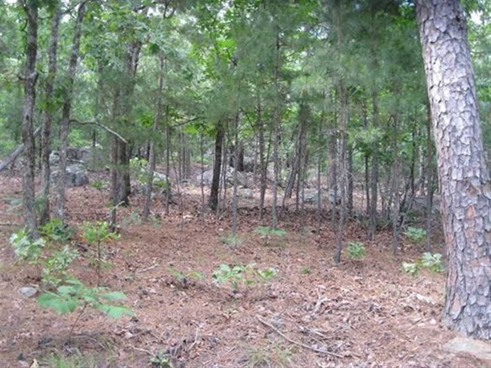 10 Acres of Recreational land for sale in Clayton, pushmataha County, Oklahoma