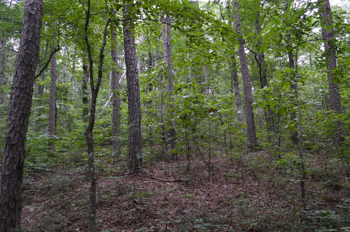 Clinton, AR Real estate listing