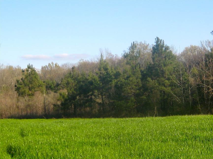 120 Acres of Land for sale in west carroll County, Louisiana