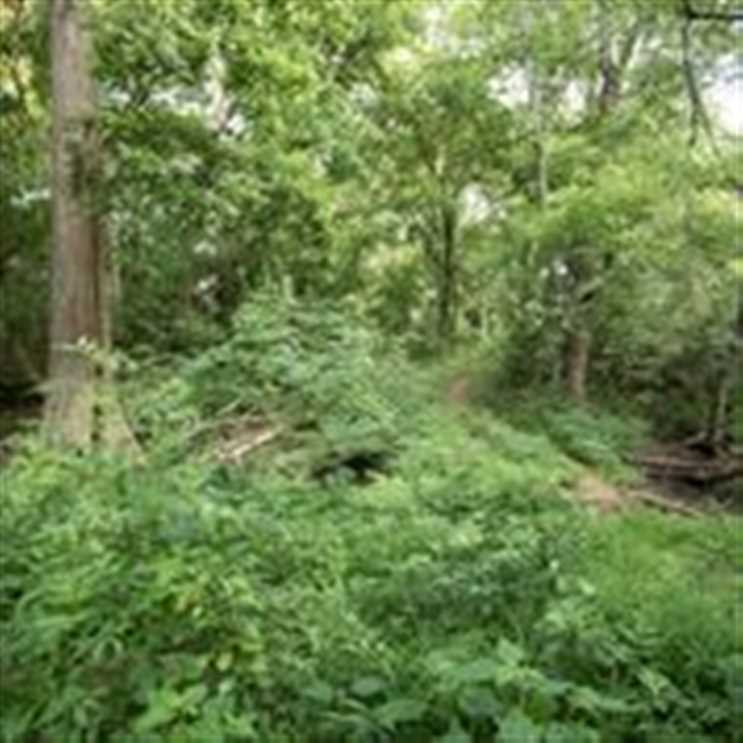 Residential and   property for sale on The Land Market