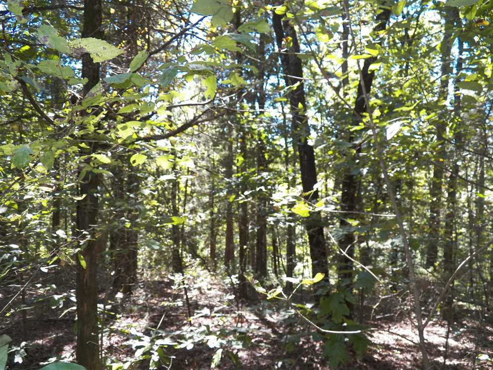 Residential and   property for sale on The Land Market