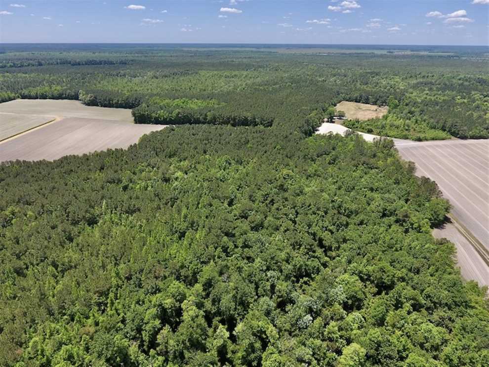 656 Acres of Recreational land for sale in Garland, bladen County, North Carolina