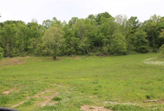 250.59 Acres of Land for Sale in monroe County Kentucky