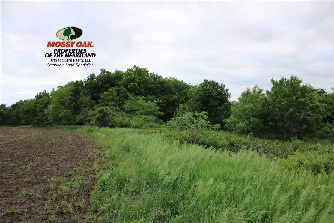 150 Acres of Recreational land for sale in Yates Center, woodson County, Kansas