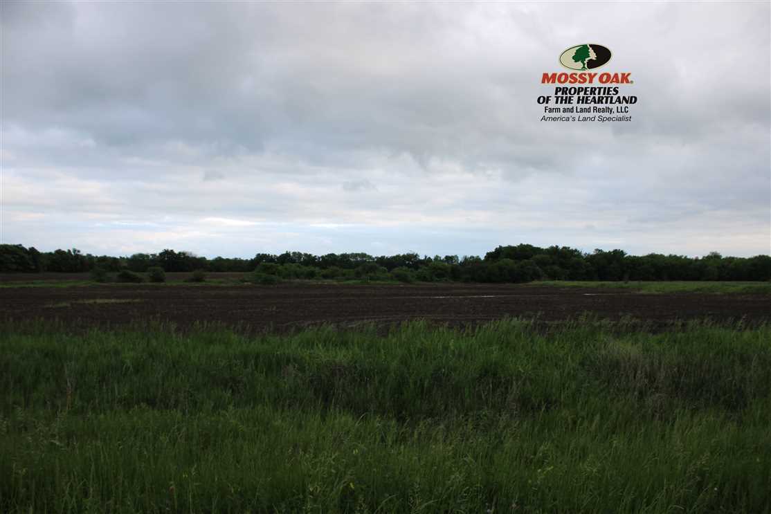150 Acres of Land for sale in woodson County, Kansas