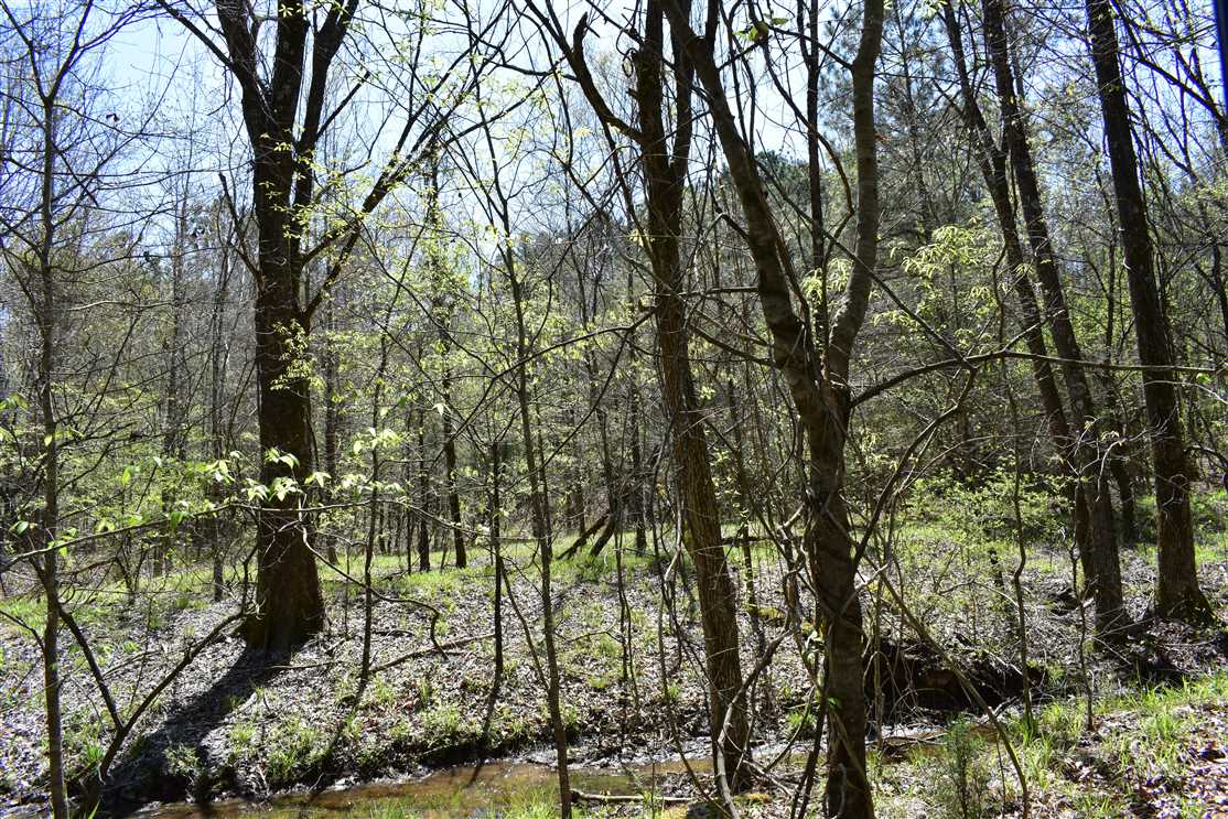 Land for sale to buy in 71858 zip code