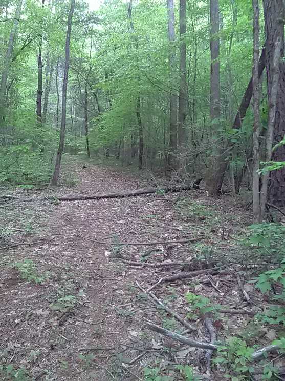 24 Unrestricted Acres in Beautiful Tusquittee NC Real estate listing