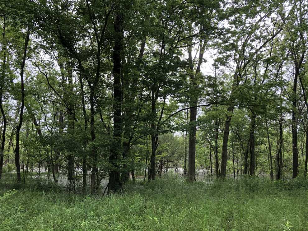 Property for sale at