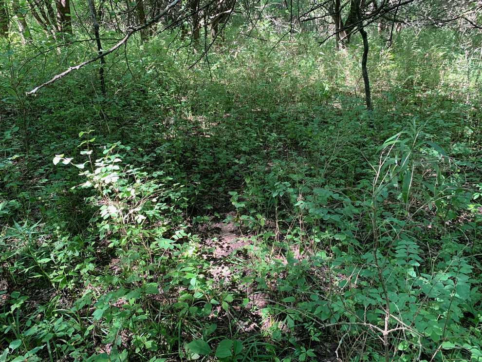 Recreational and   property for sale on The Land Market