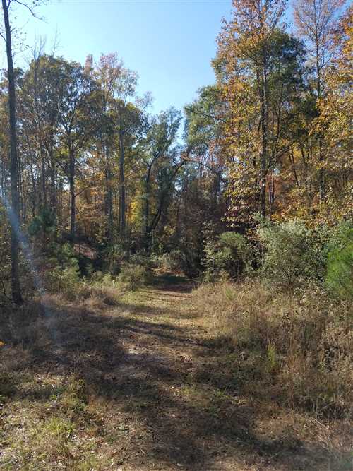 76.6 Acres of Residential land for sale in Rock Hill, york County, South Carolina