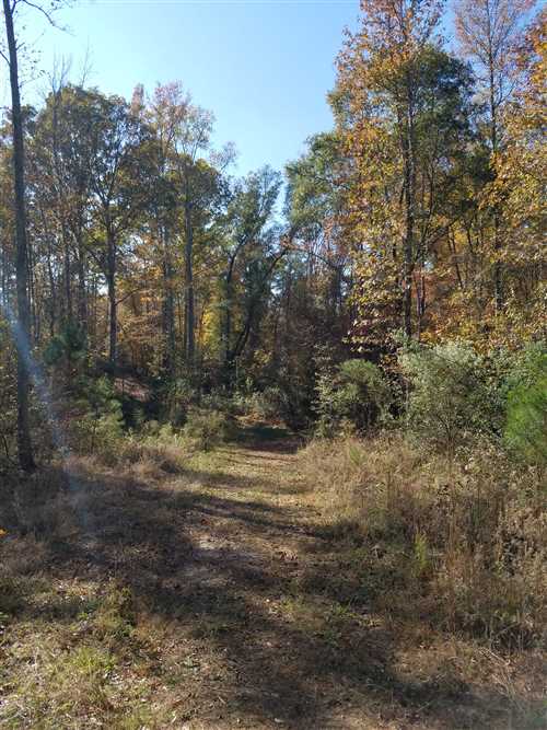 76.6 Acres of Residential land for sale in Rock Hill, york County, South Carolina