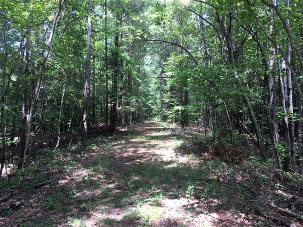 choctaw County, Mississippi property for sale