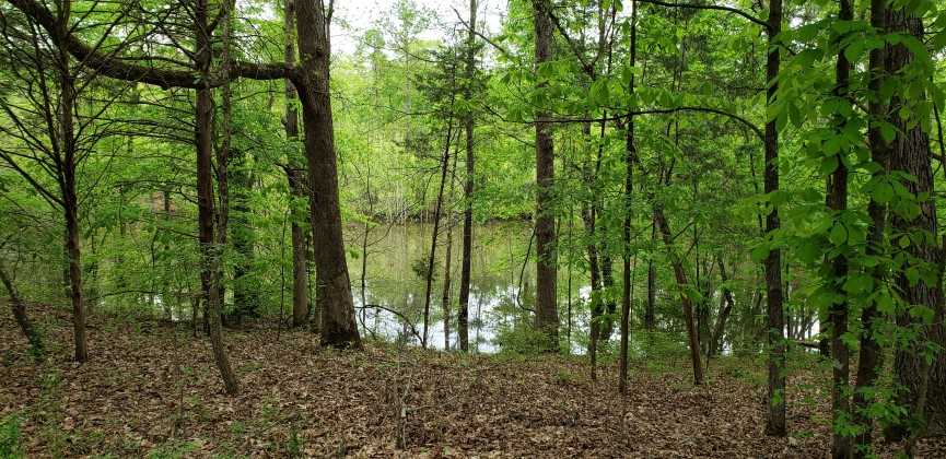 170 ACRE OLD FARM FIELDS NICE CREEK AND LOTS OF DEER AND TURKEY Real estate listing