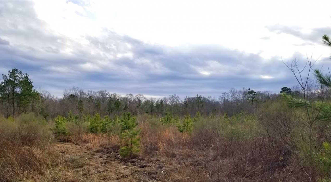 Sunshine Bridge South, LaSalle Parish, 50 Acres +/- Real estate listing