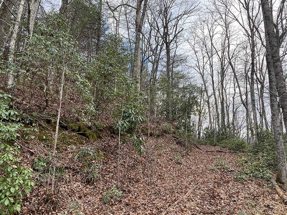 Land for sale at 0 Whippoorwill Dr.