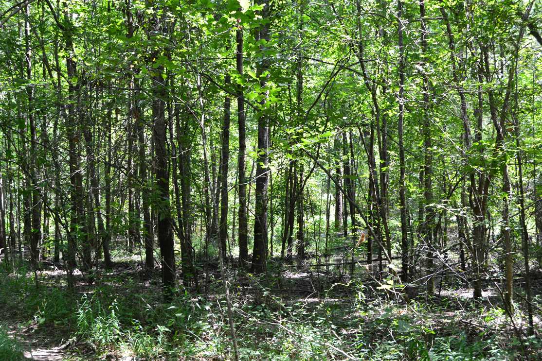 property for sale on The Land Market