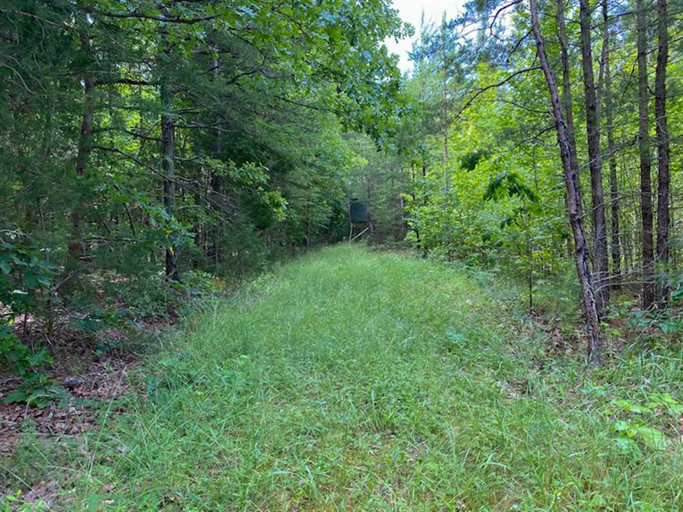 Houses and land for sale in North Carolina