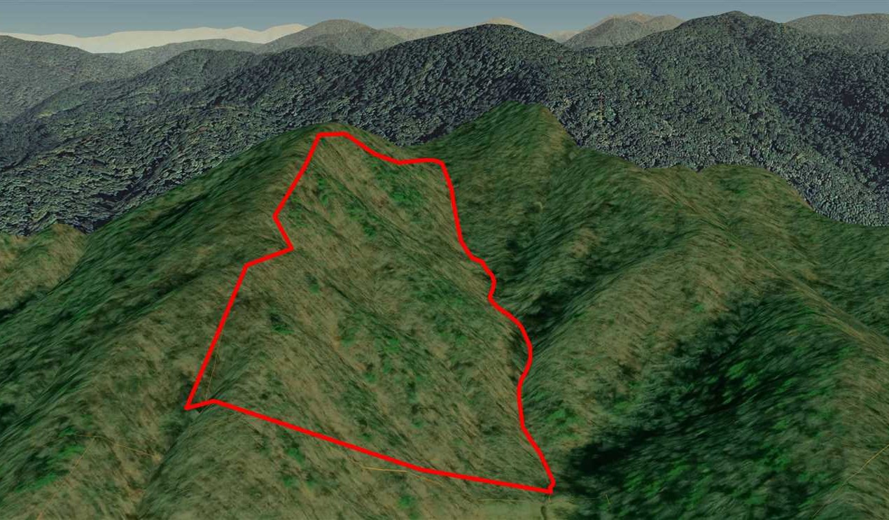 36.49+/- Acres in Beautiful Madison County! Real estate listing