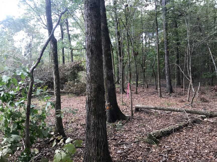 property for sale on The Land Market